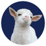 AI Notes Logo